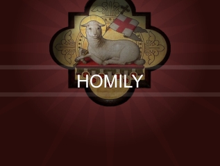 Homily – Divine Lightning